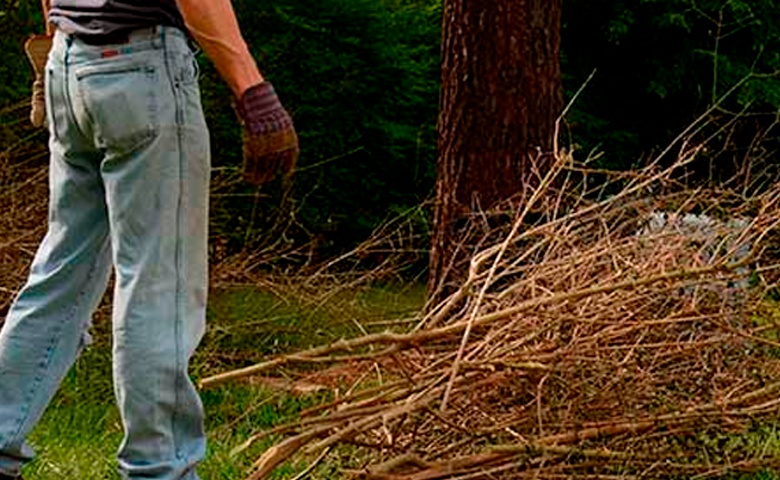 CDF Hill & Yard Clearing