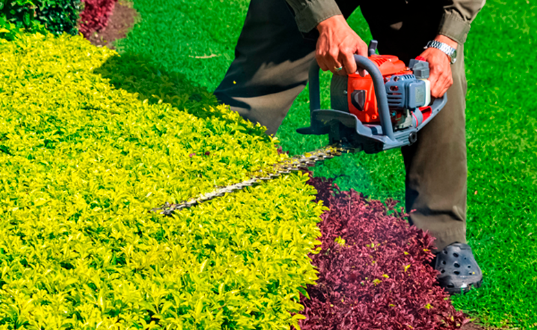 Pruning Services